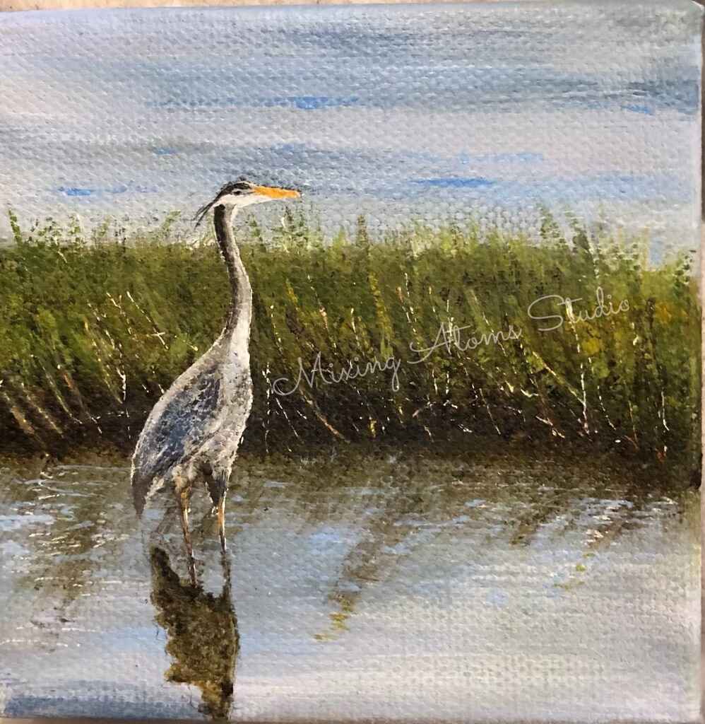 Blue Heron in Marsh