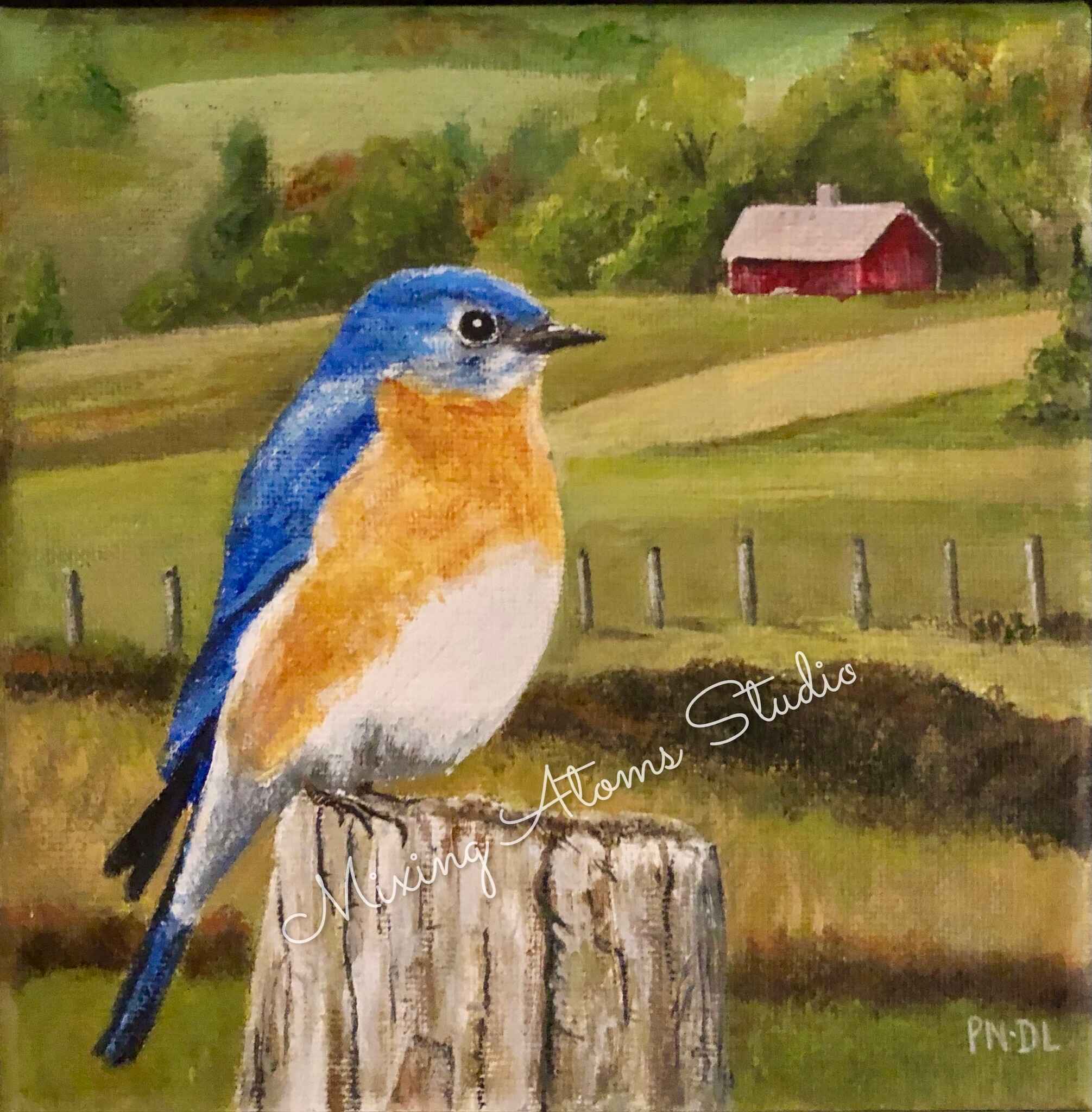 Bluebird and Red Barn #1