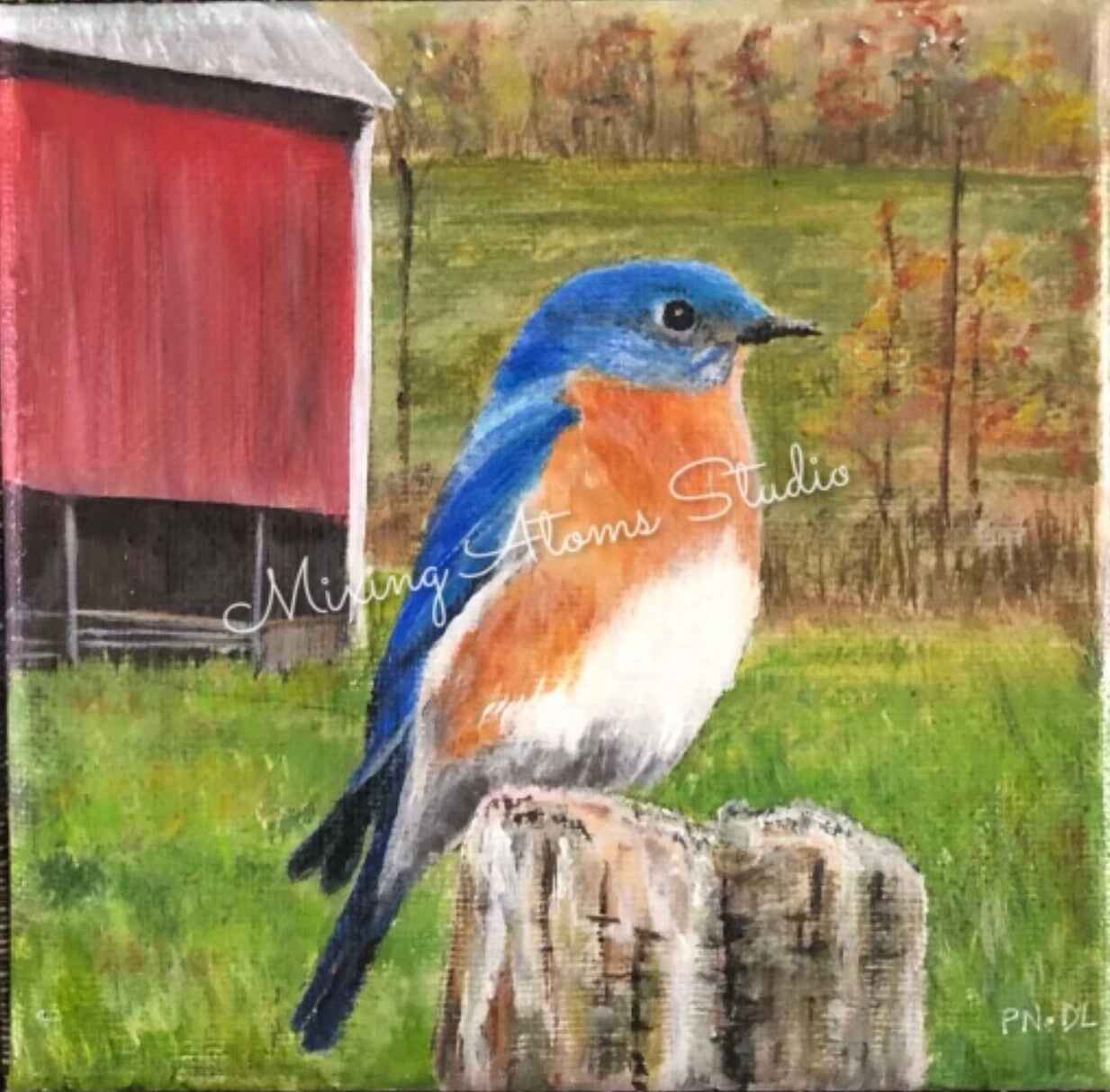 Bluebird and Red Barn #2