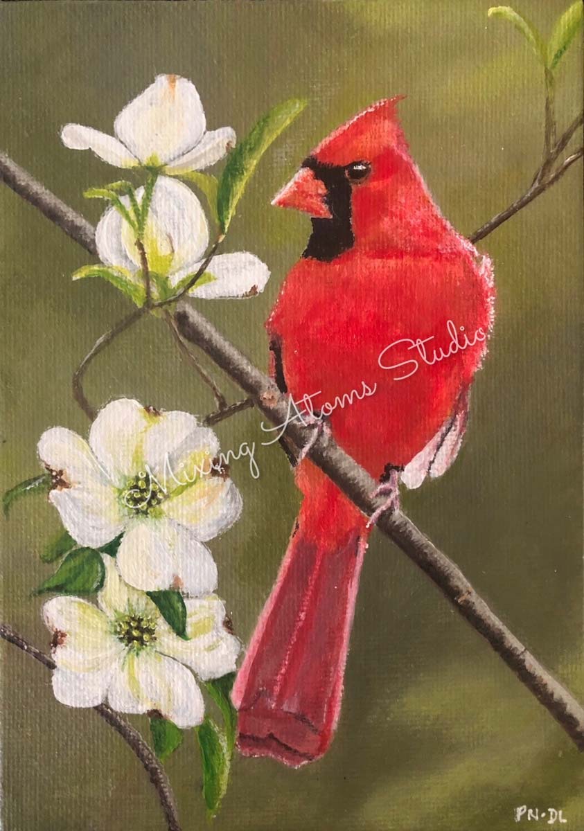 Cardinal In Dogwood