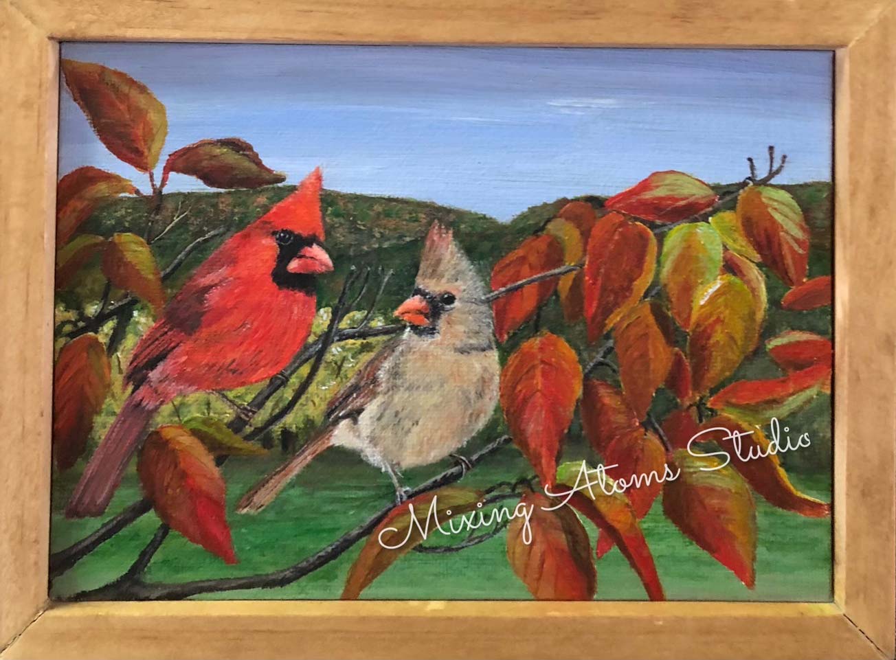 Cardinals in Fall