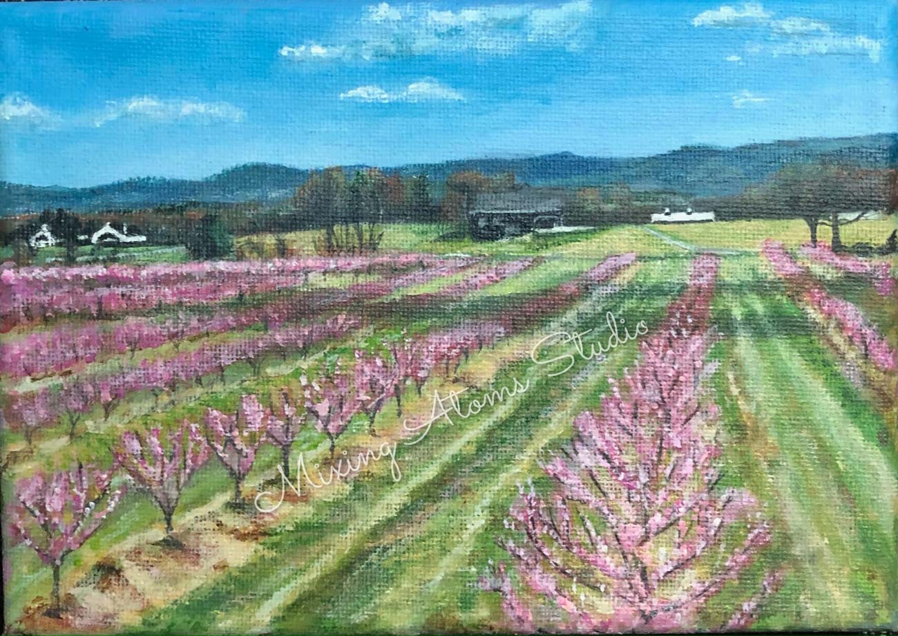 Chiles Peach Rows & Mountains