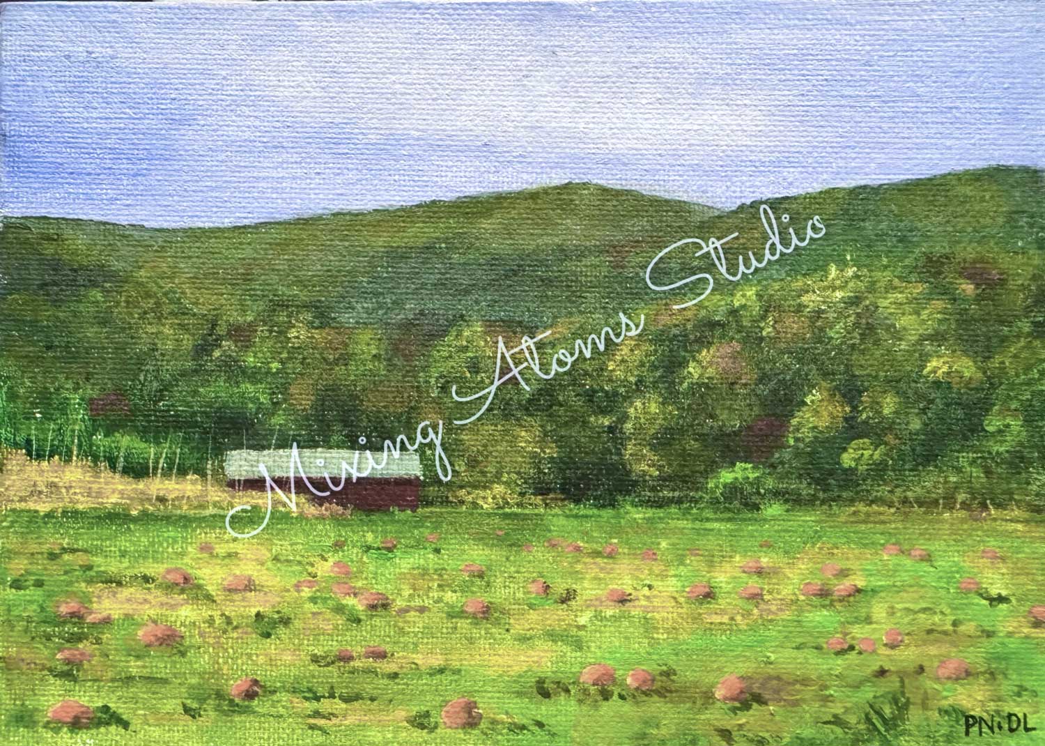 Chiles Pumpkin Patch