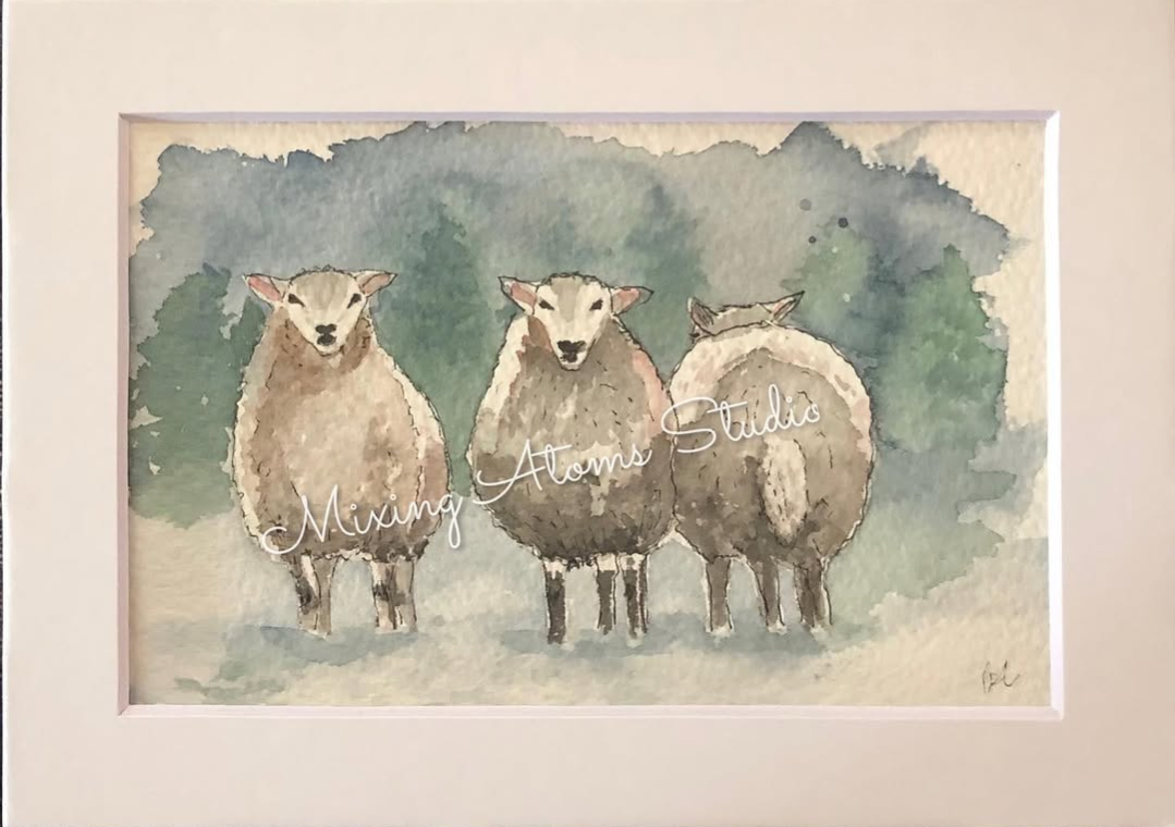A cute picture of some sheep