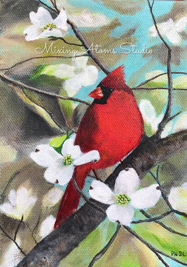 Springtime Cardinal